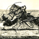 Illustration for article titled The early 1900s version of Photoshop involved lots of giant rabbits and corn
